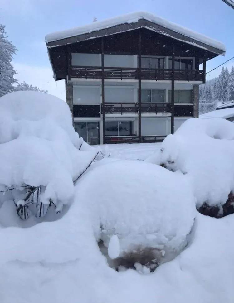 Apartment Appartement Le Stelo Les Gets 6 Personnes Aux Pieds Des Pistes 2 Chambres France